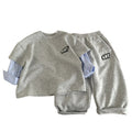 Baby casual sportswear spring and autumn clothing set